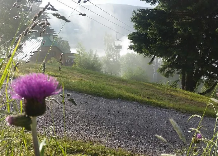 Alenka