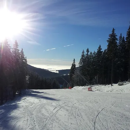 Alenka Spindleruv Mlyn