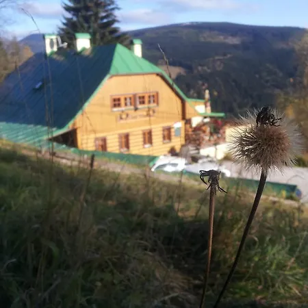 Alenka Guest house