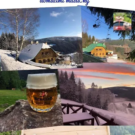 Alenka Guest house