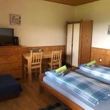 Guest house Alenka 3*