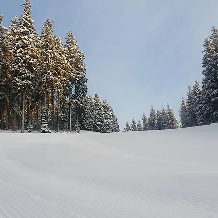 Alenka Penzion 3*
