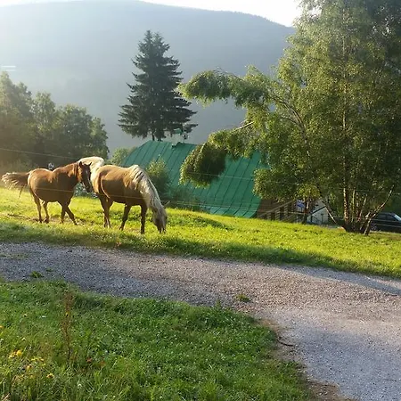 Penzion Alenka Špindlerŭv Mlýn