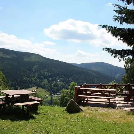 Alenka Penzion 3*