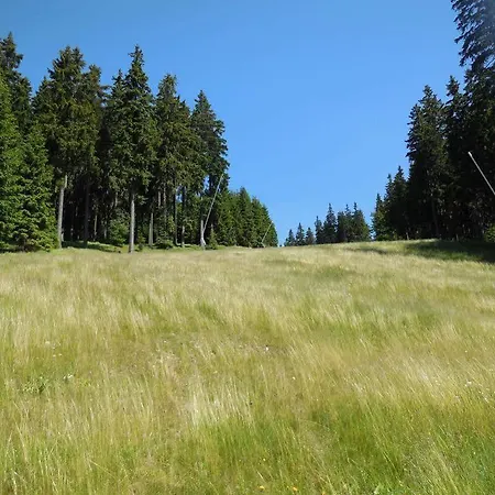 Alenka 3* Spindleruv Mlyn