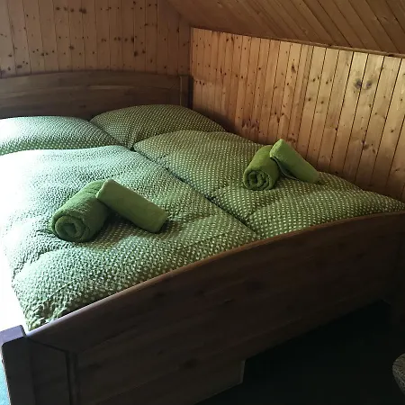 Guest house Alenka 3*