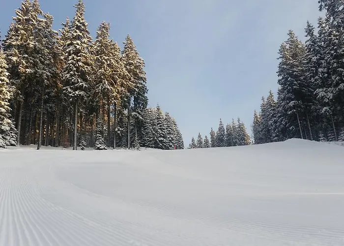 Alenka Gasthof 3*